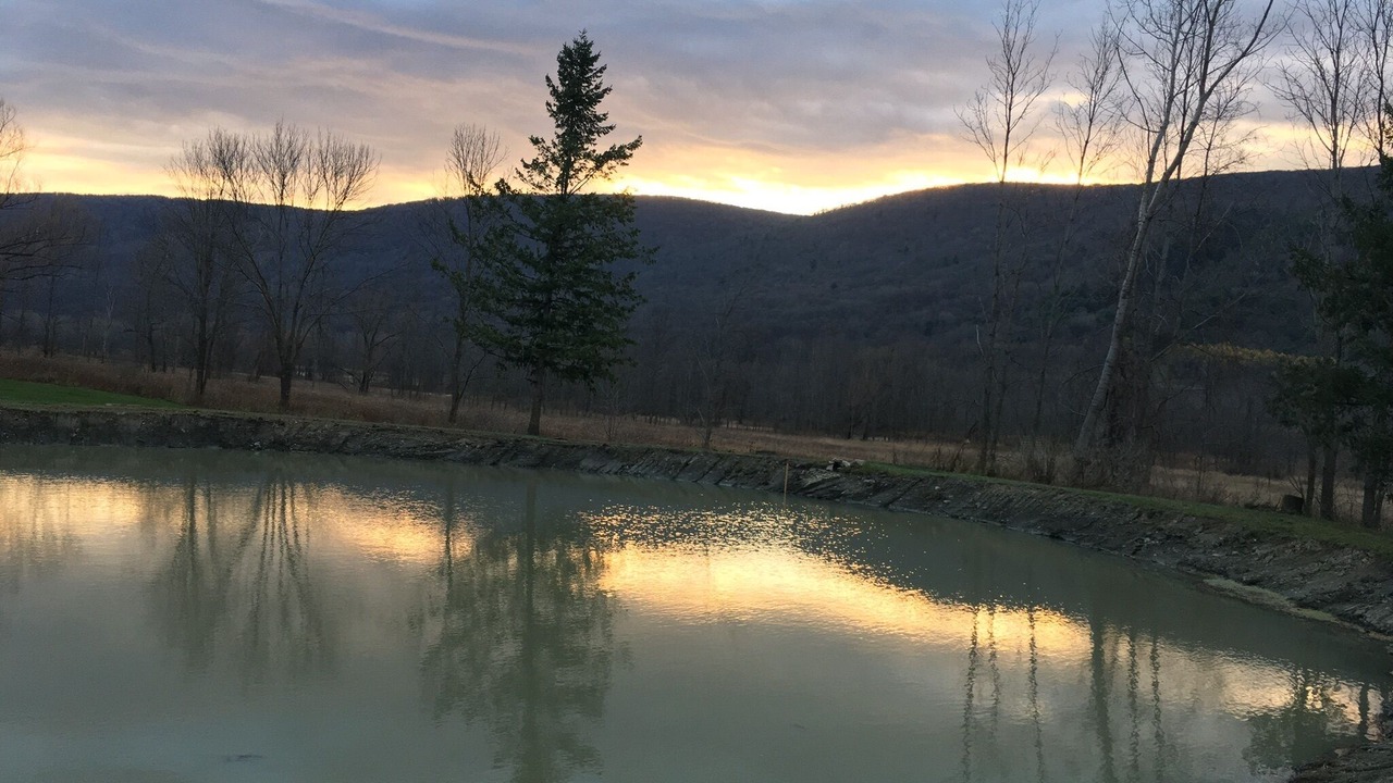 Photo of Outdoor in Honeoye