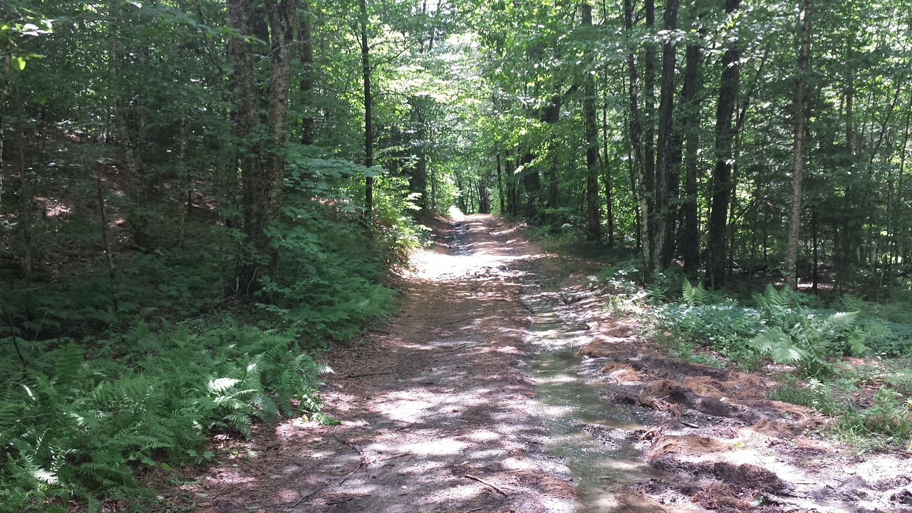 Photo of Outdoor in Braintree