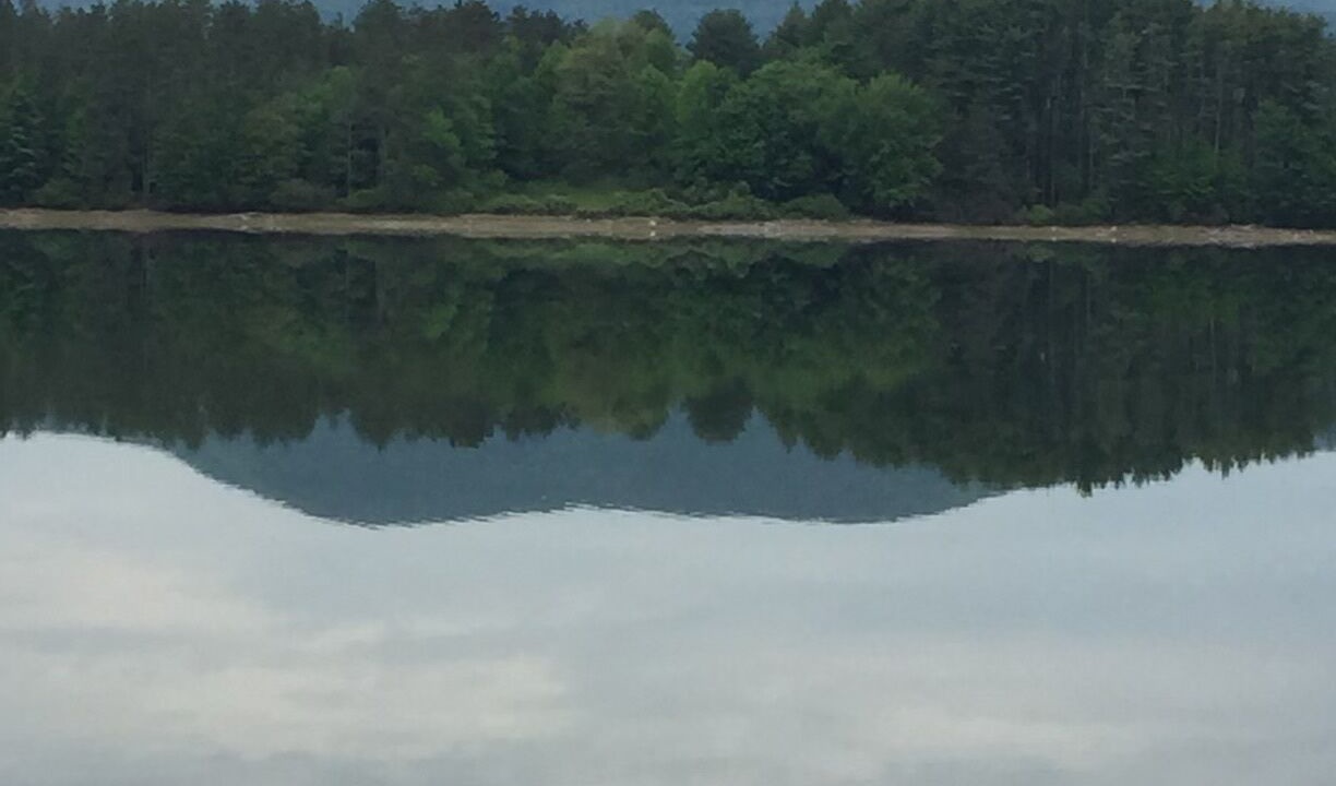 Photo of Others in Woodstock