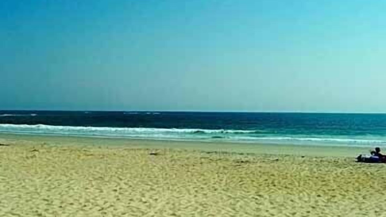 Photo of Others in Seabrook