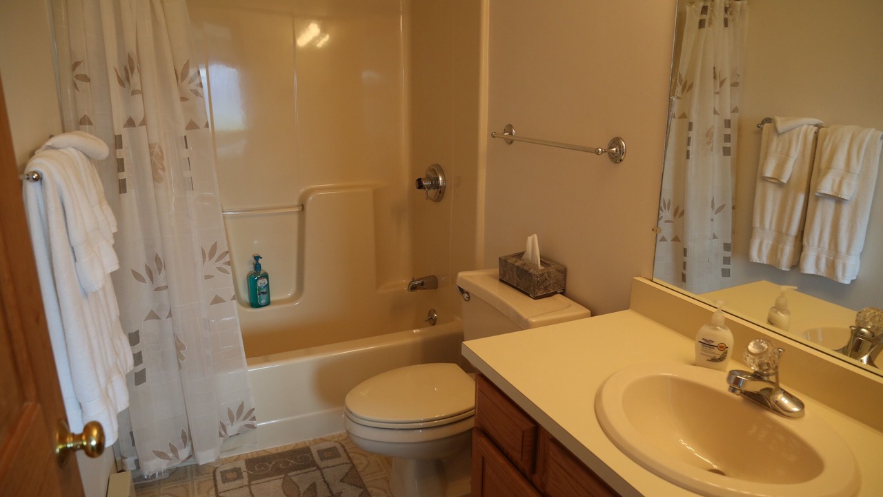 Photo of Bathroom in Intervale