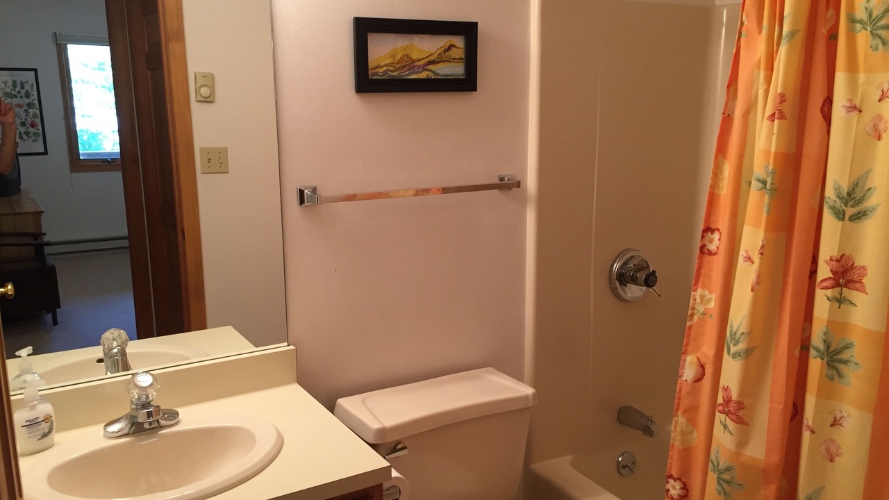 Photo of Bathroom in Intervale