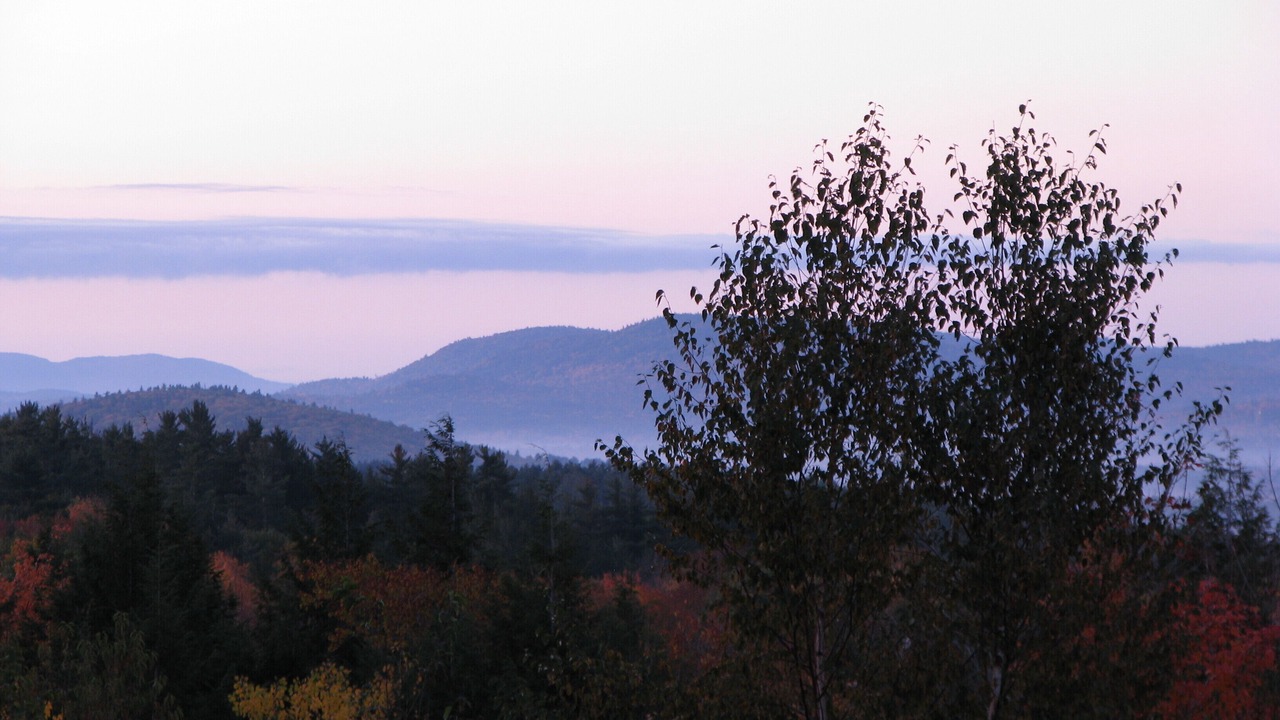 Photo of Others in Intervale
