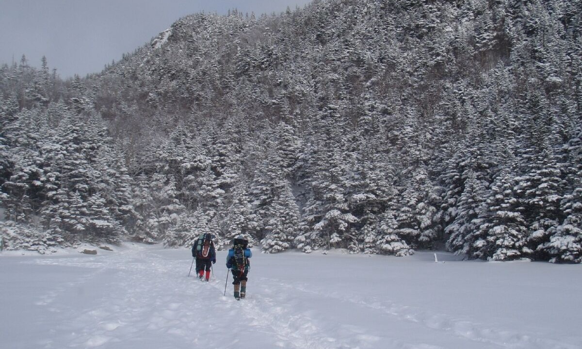 Photo of Others in Intervale