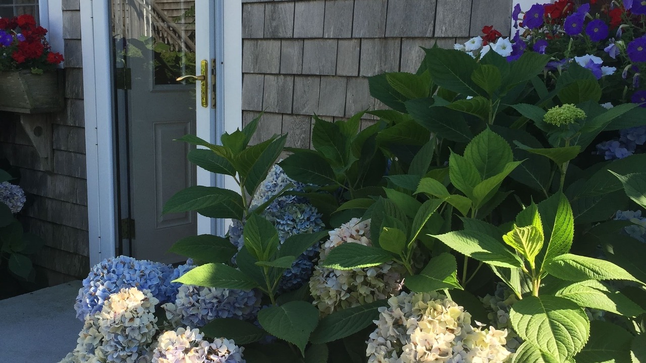 Photo of Outdoor in Nantucket Town