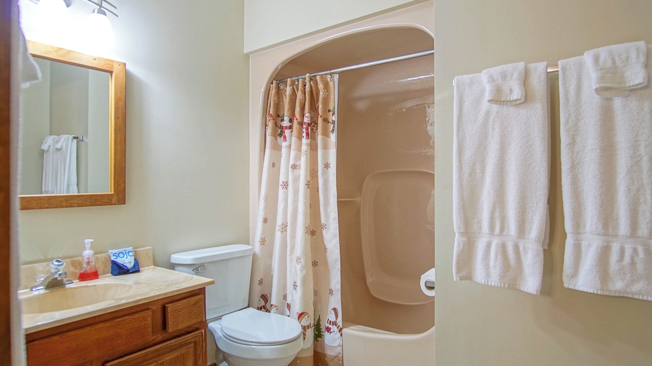 Photo of Bathroom in Snowshoe