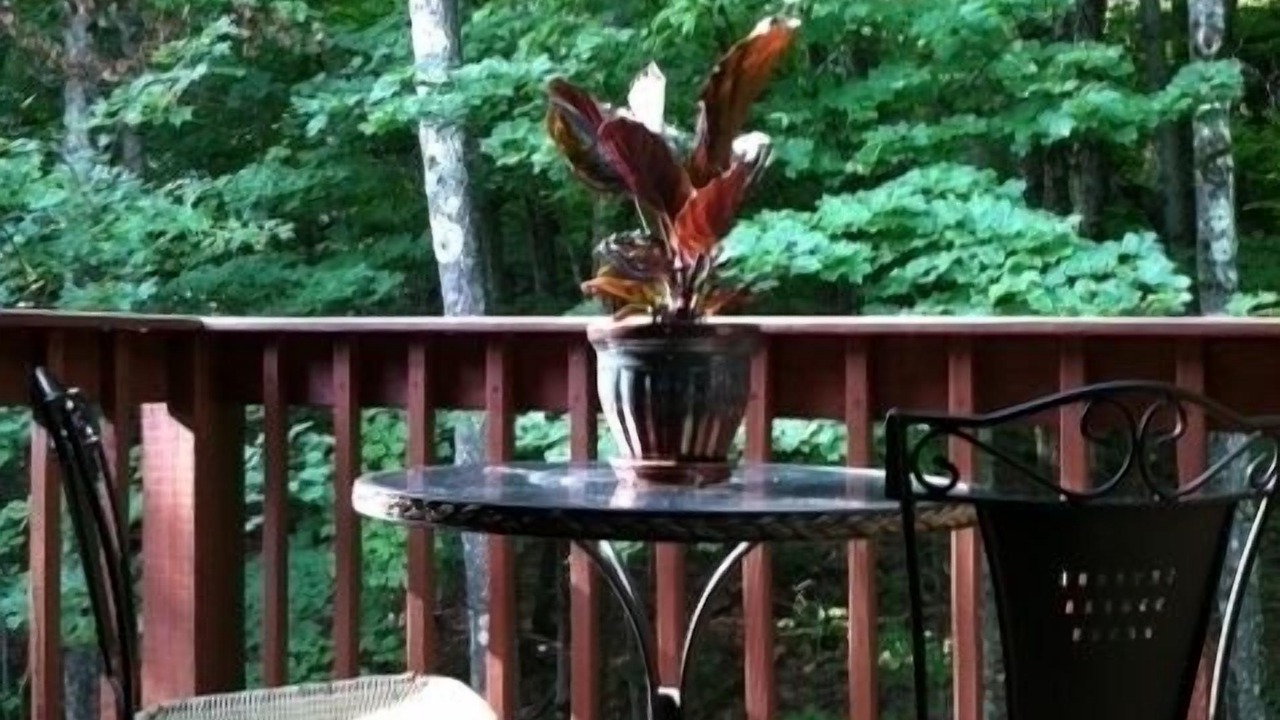 Photo of Patio Balcony in Haines Falls