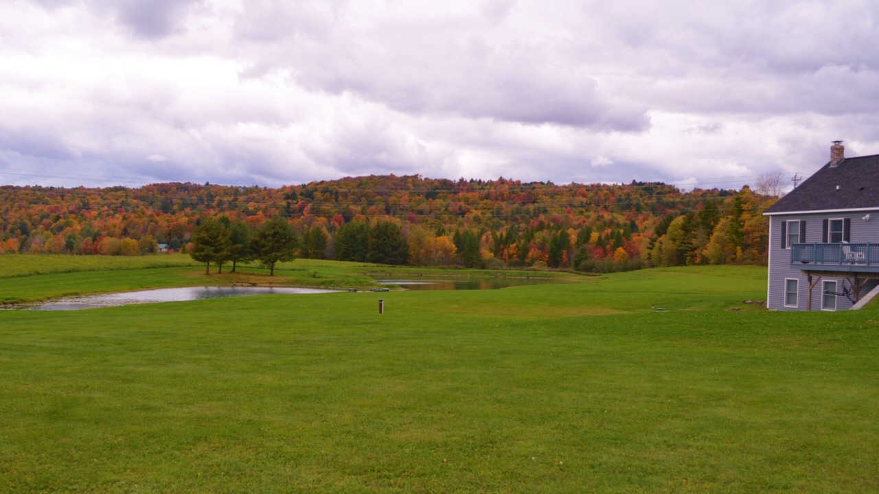 Photo of Outdoor in Morrisville