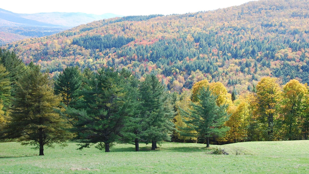 Photo of Others in Warren
