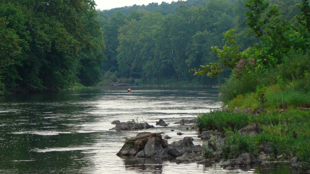 Photo of Others in Shenandoah