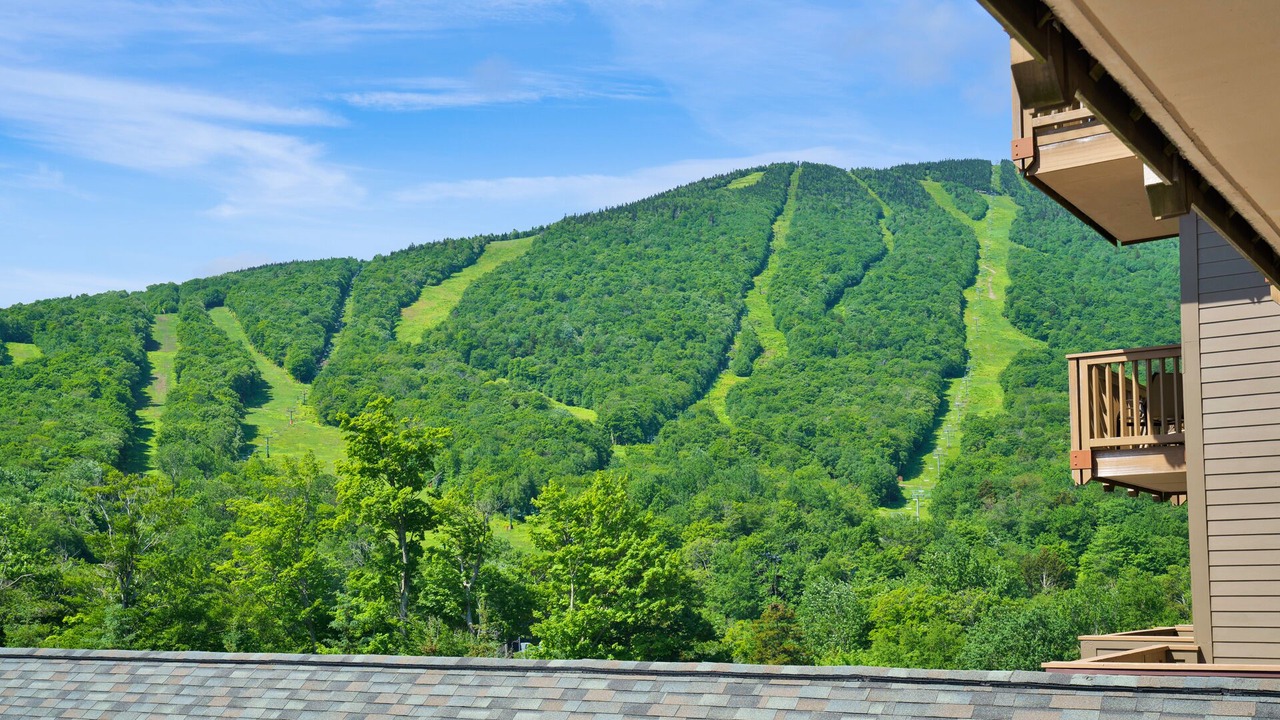 Photo of Others in Stowe Area