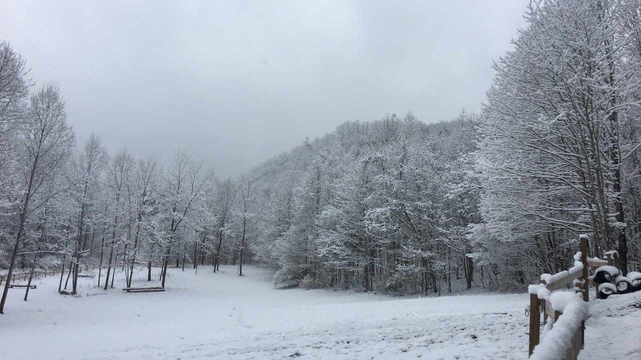 Photo of Others in Caldwell