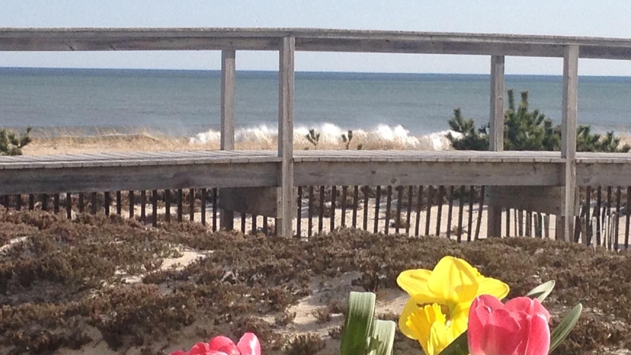 Photo of Others in Westhampton Beach