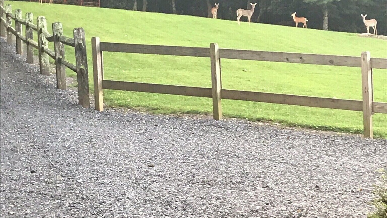 Photo of Outdoor in Fancy Gap