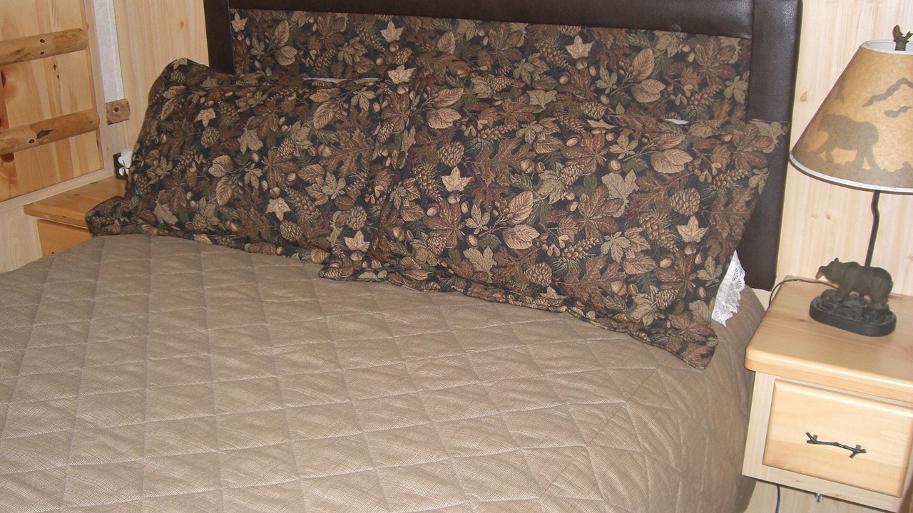 Photo of Bedroom in Hector