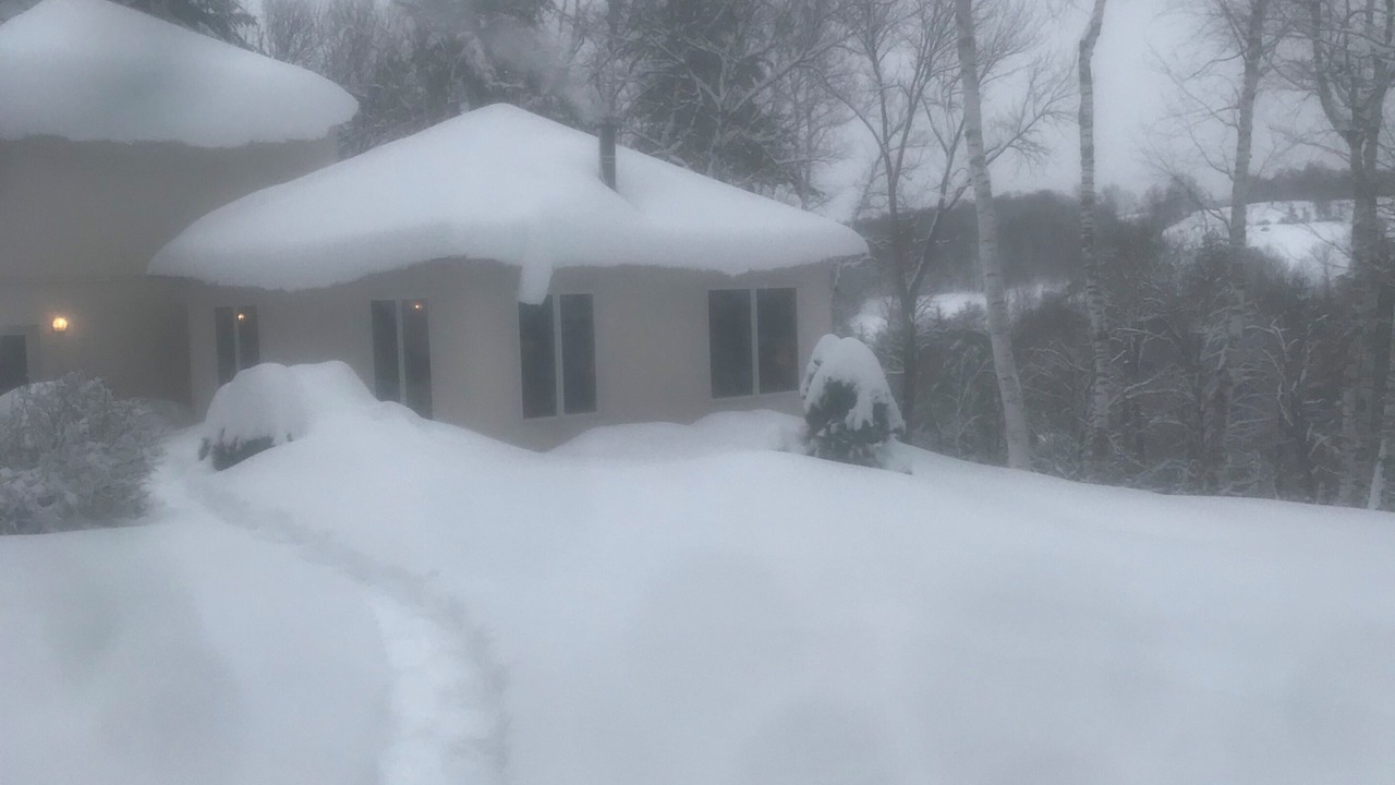 Photo of Outdoor in Woodstock