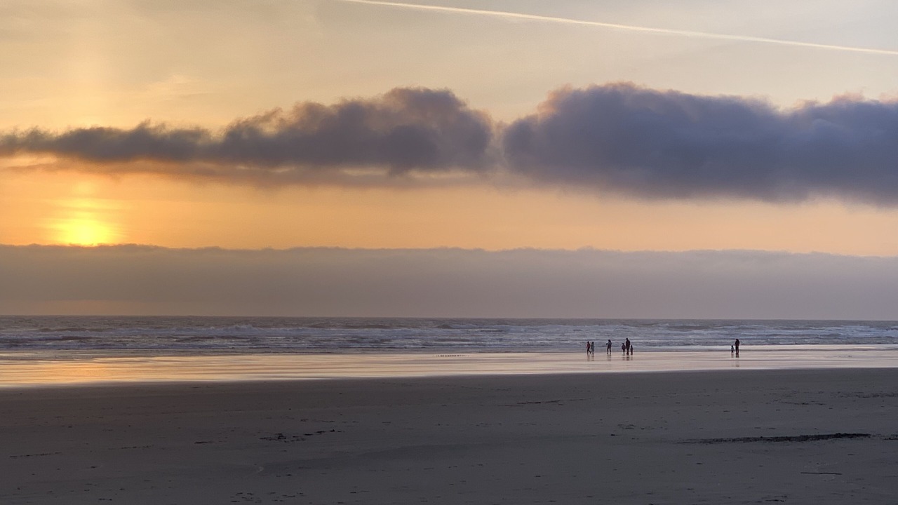 Photo of Others in Manzanita