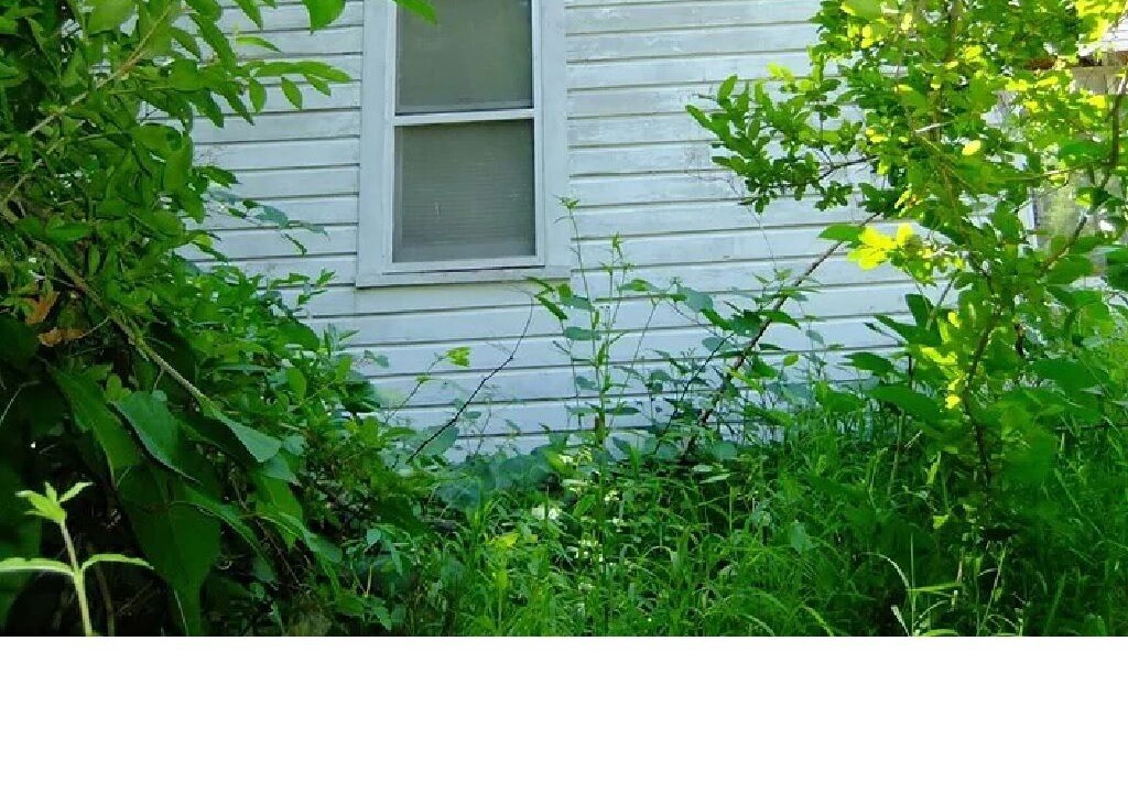 Photo of Outdoor in White Lake