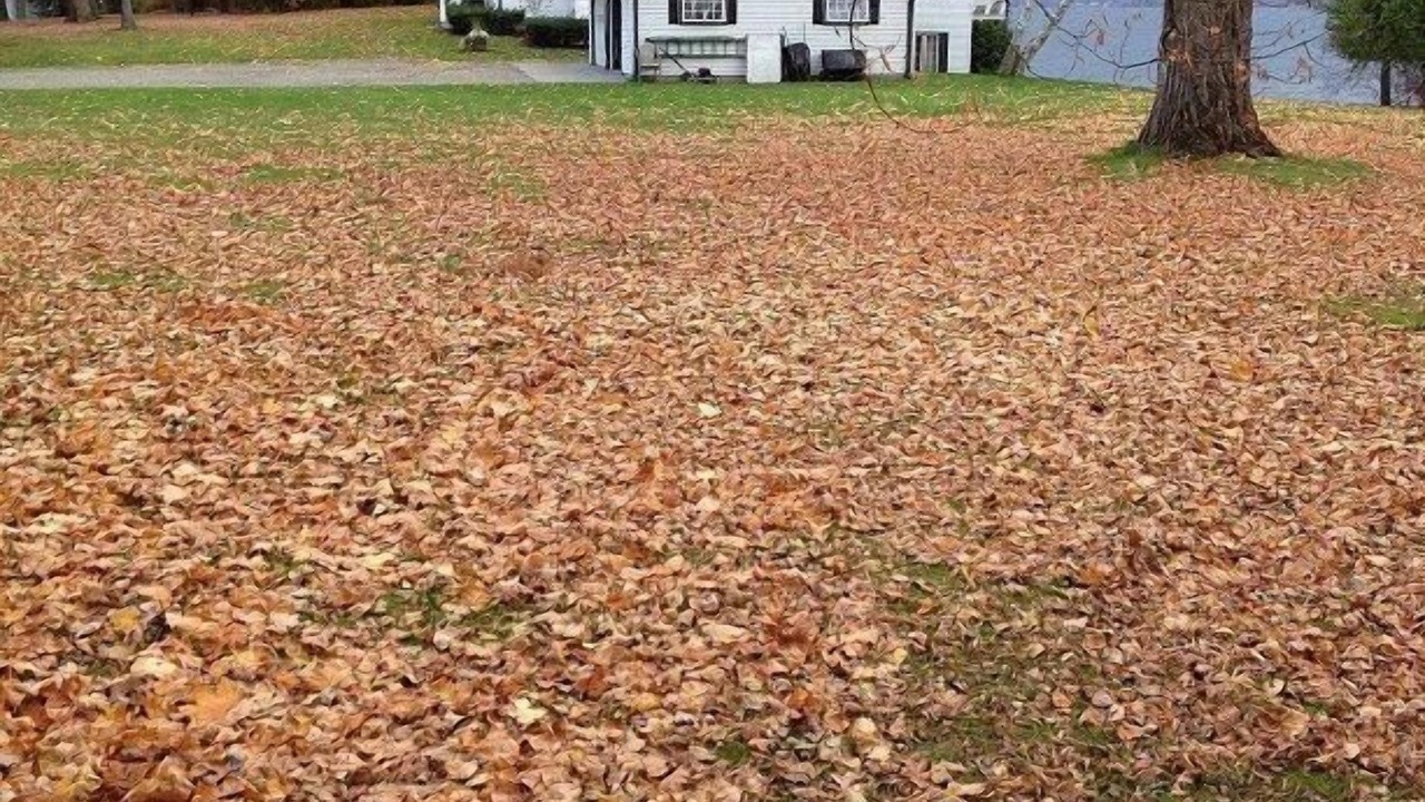Photo of Outdoor in Beebe Plain