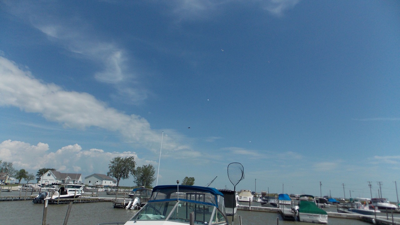 Photo of Others in Oak Harbor