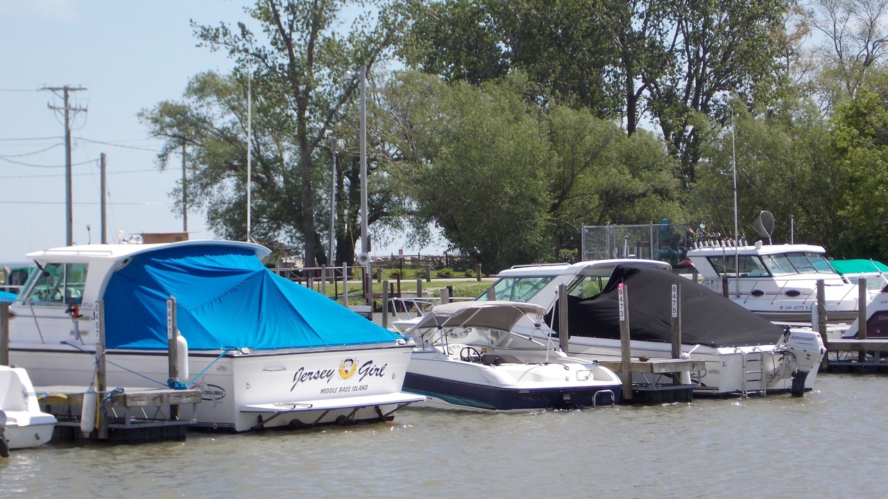 Photo of Others in Oak Harbor