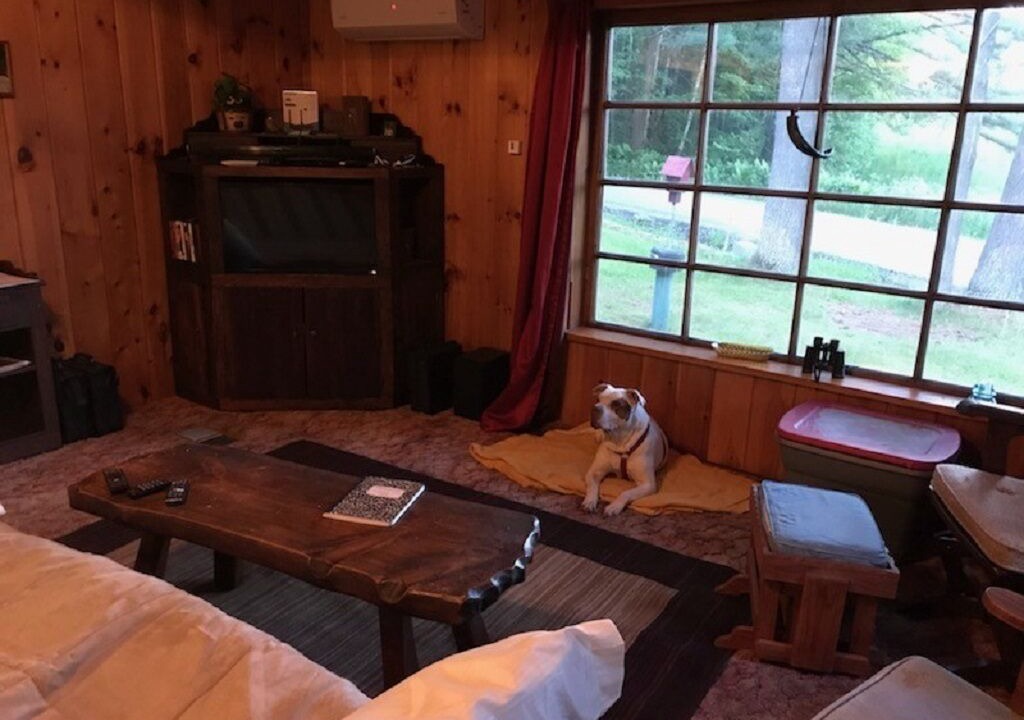 Photo of Livingroom in Post Mills