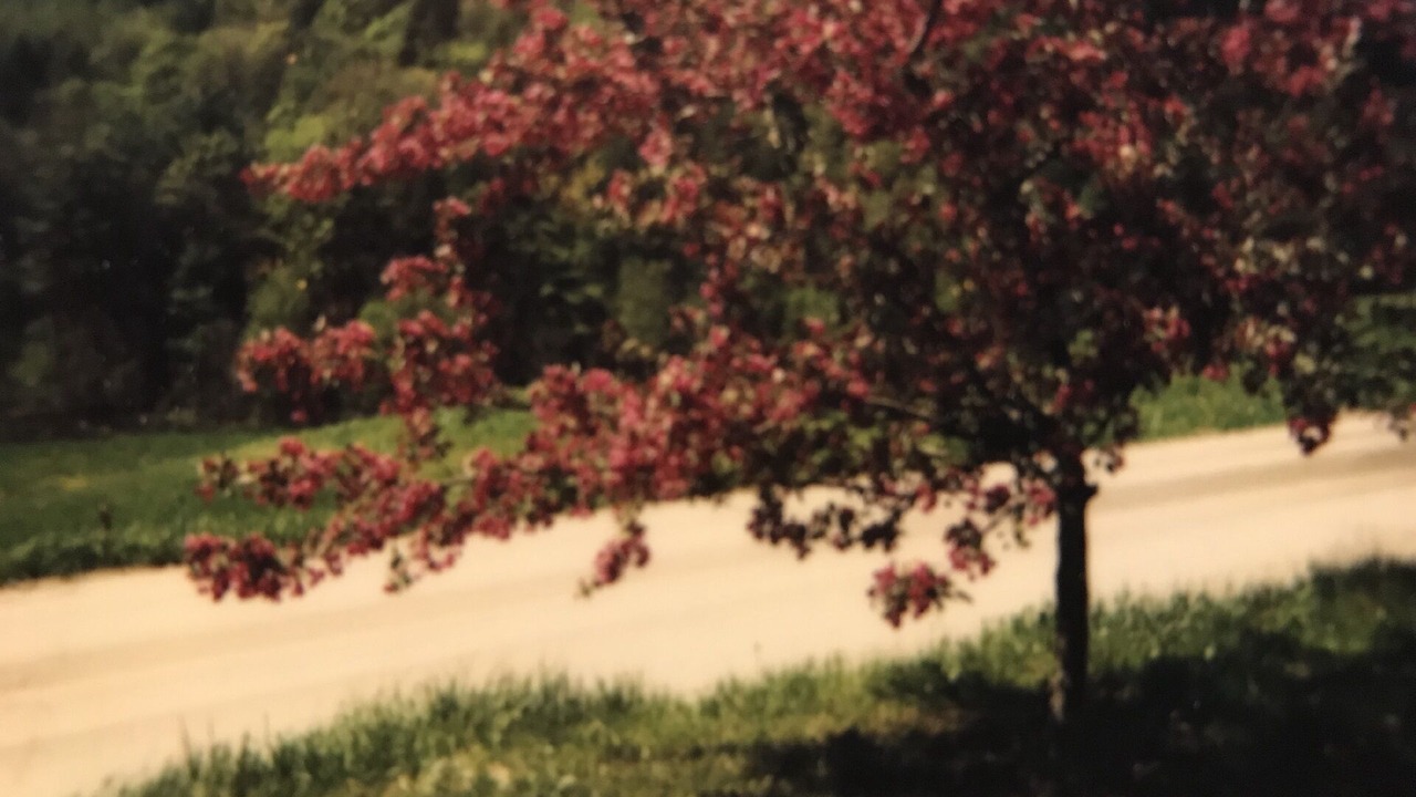 Photo of Outdoor in Post Mills