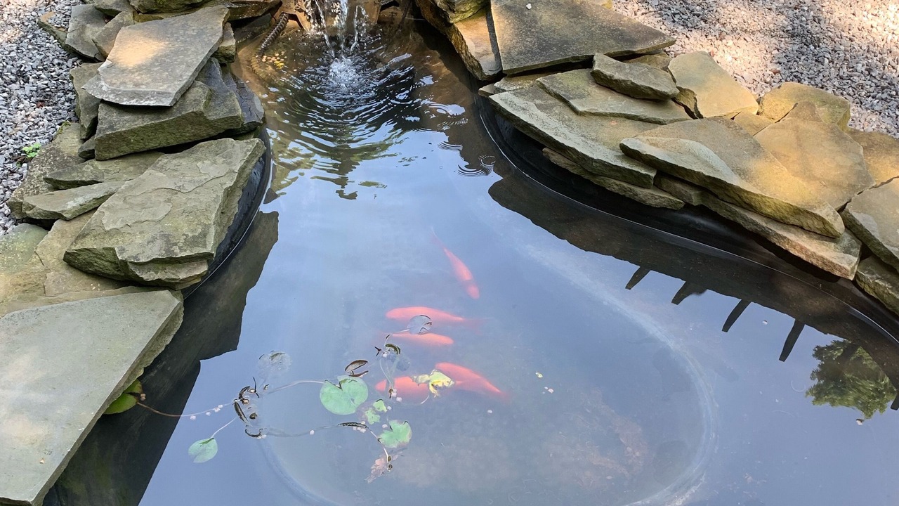 Photo of Outdoor in Munnsville