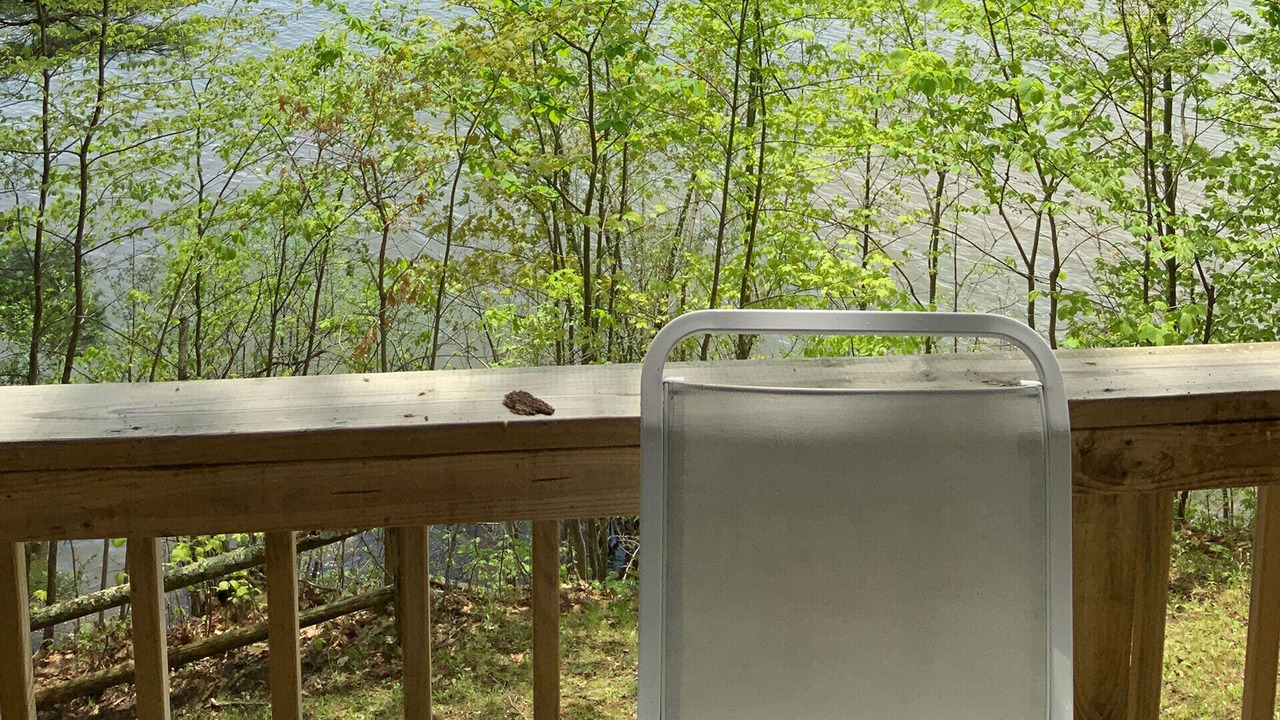 Photo of Outdoor in Westport