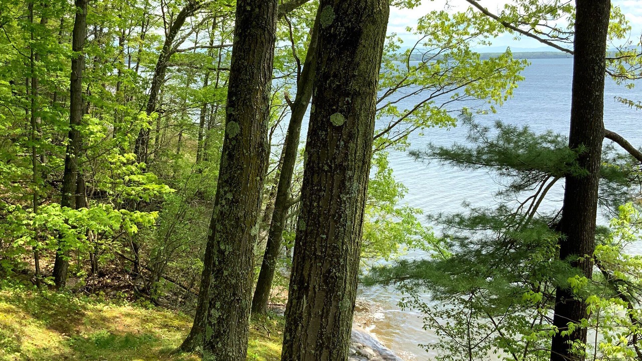 Photo of Outdoor in Westport