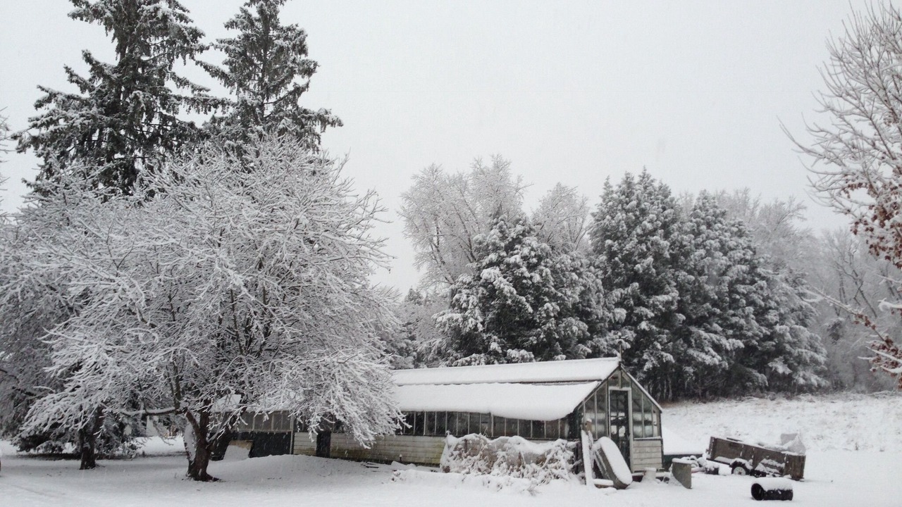 Photo of Others in North Bennington