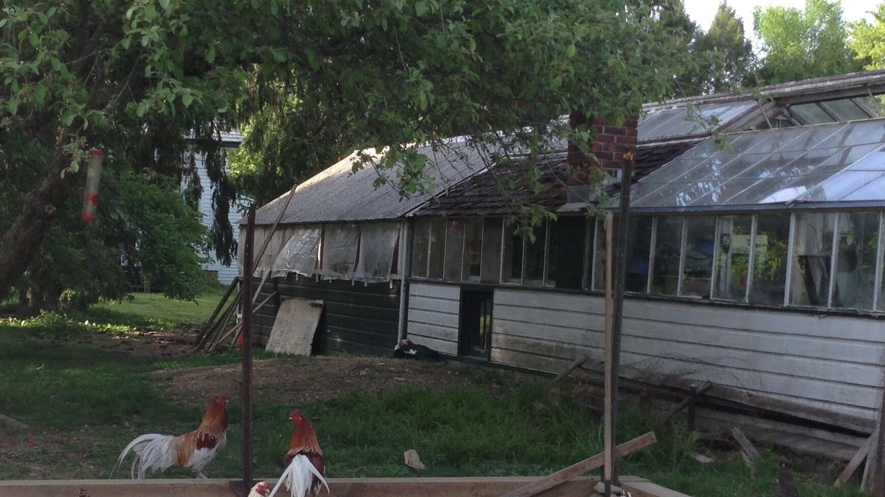 Photo of Outdoor in North Bennington