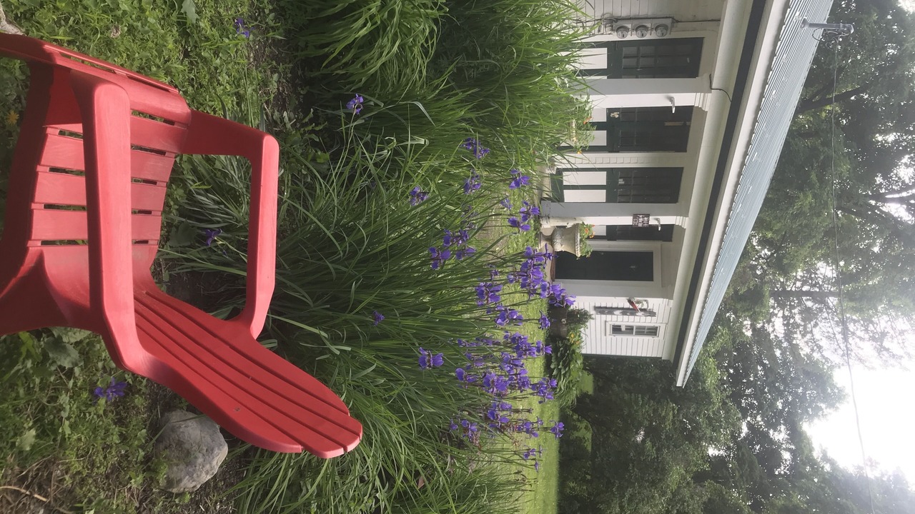 Photo of Outdoor in North Bennington