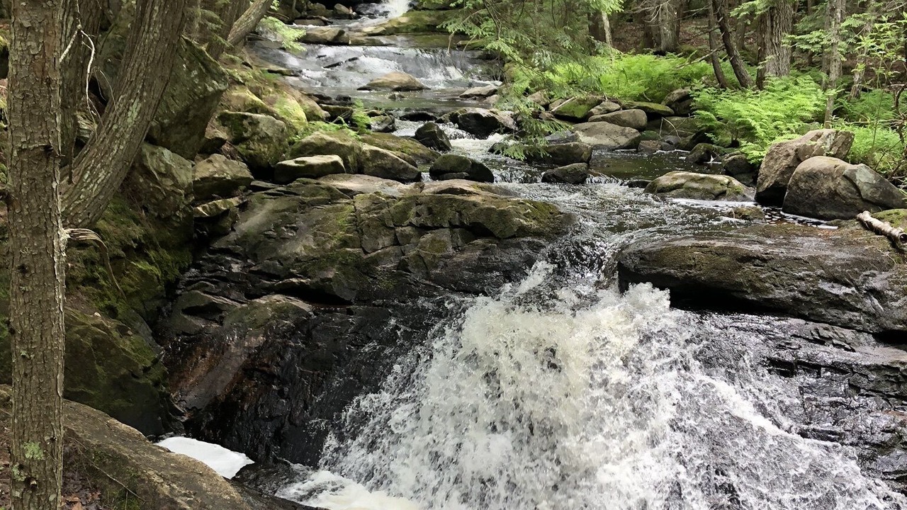 Photo of Outdoor in Enfield