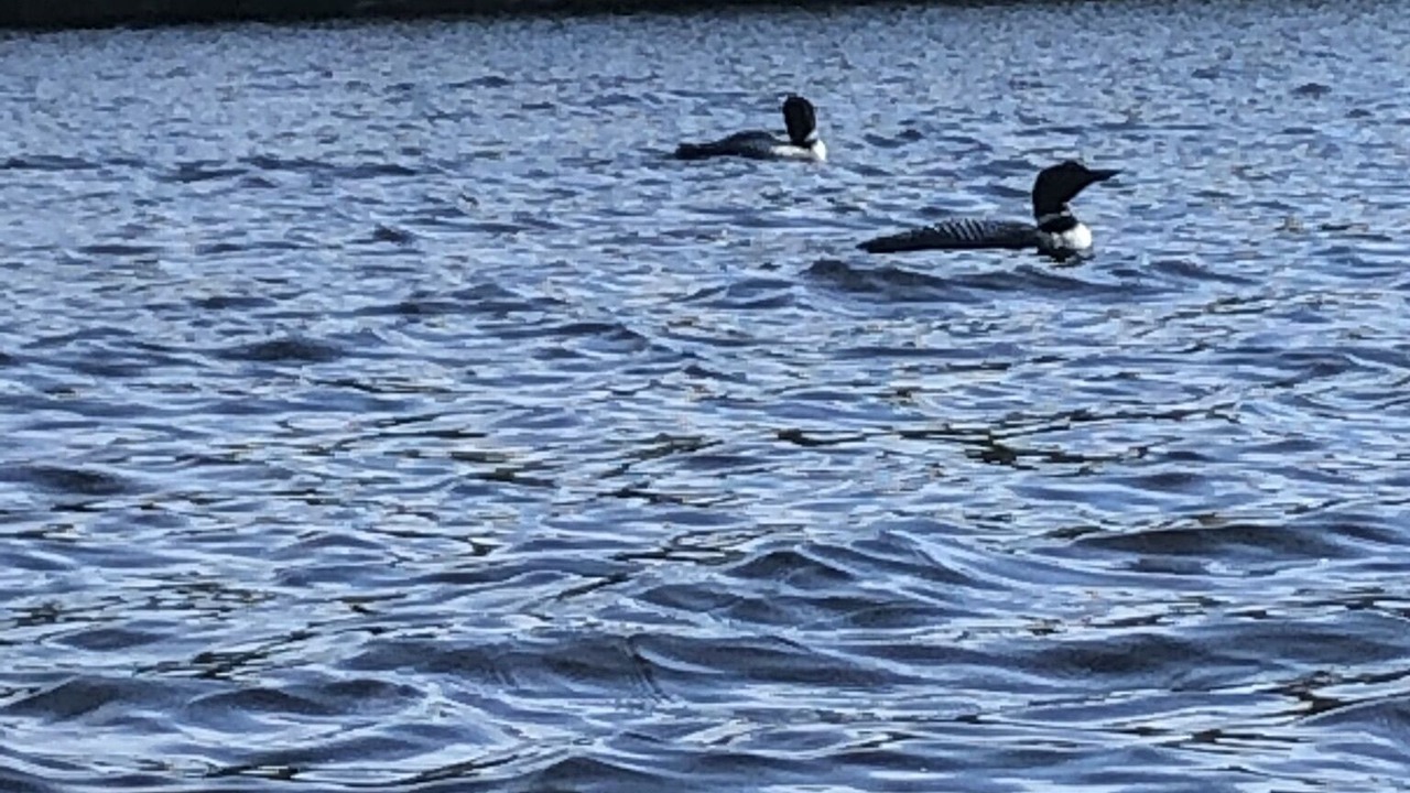 Photo of Outdoor in Enfield