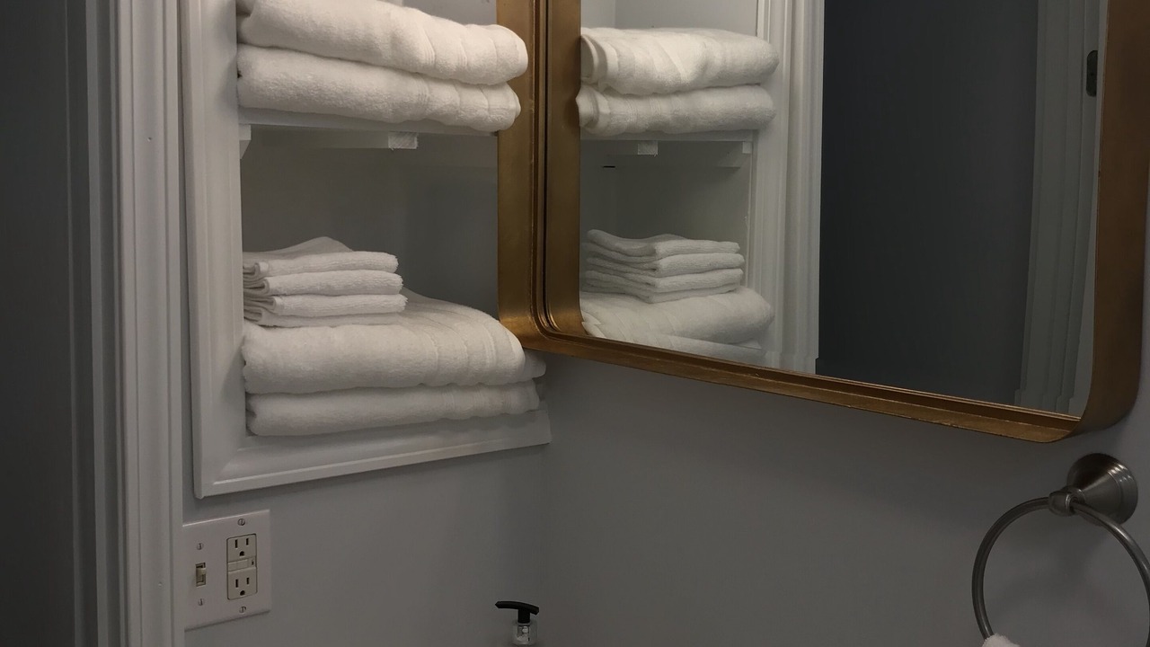 Photo of Bathroom in Hector