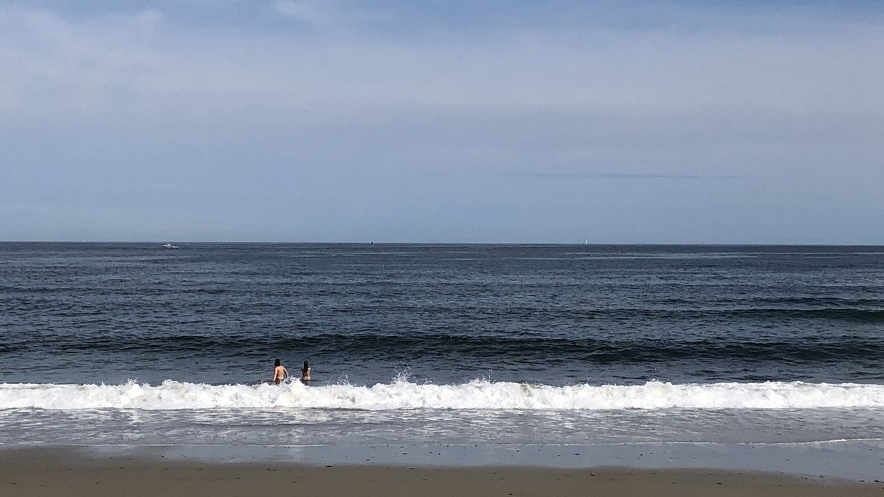 Photo of Others in Seabrook
