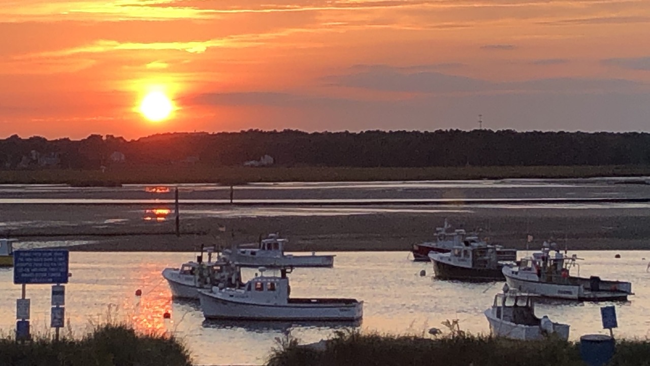 Photo of Others in Seabrook