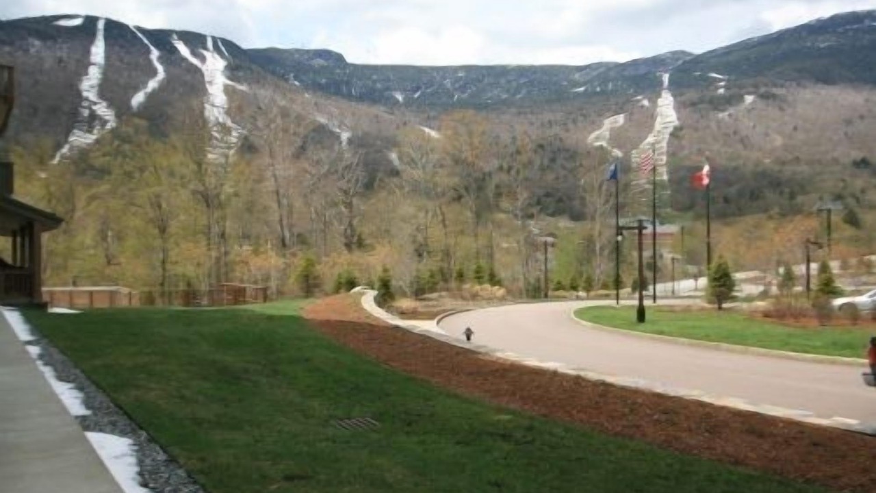 Photo of Others in Stowe Area