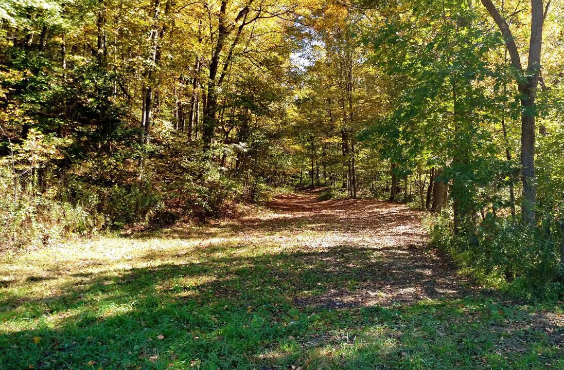 Photo of Outdoor in McArthur