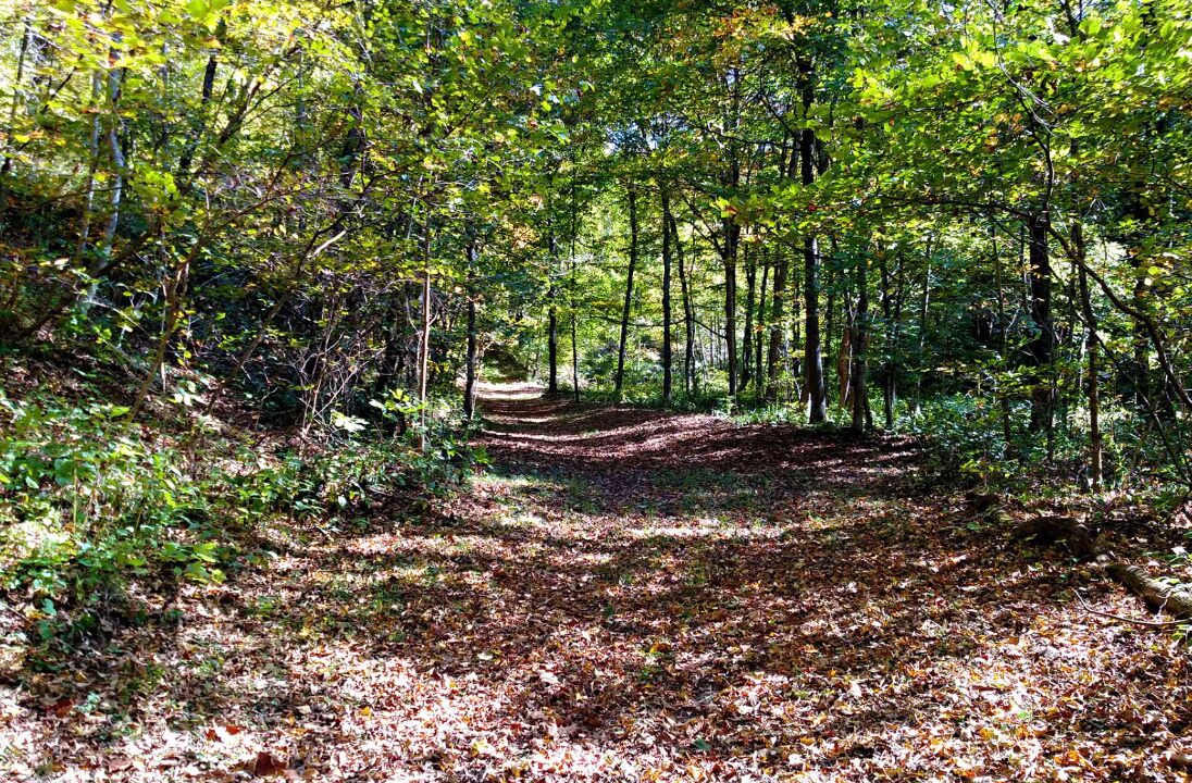 Photo of Outdoor in McArthur