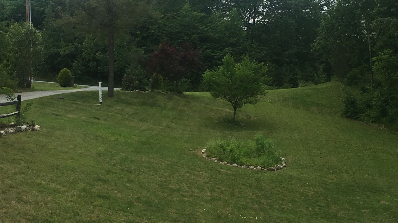 Photo of Outdoor in Arlington