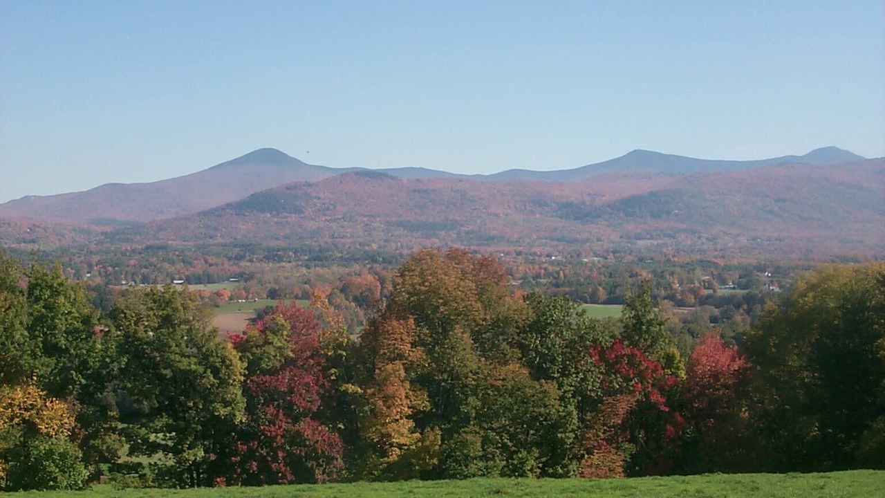 Photo of Others in Rutland