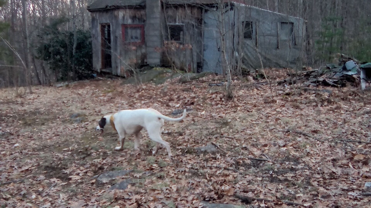Photo of Outdoor in Weare