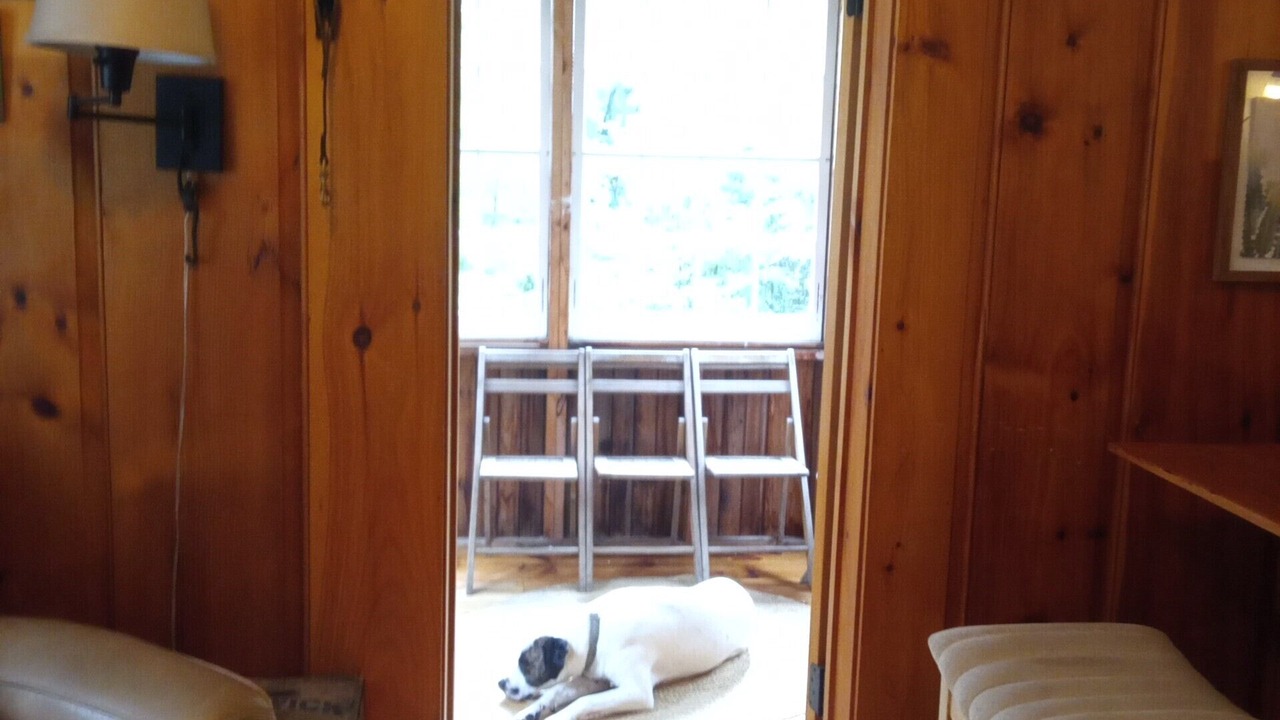 Photo of Livingroom in Weare