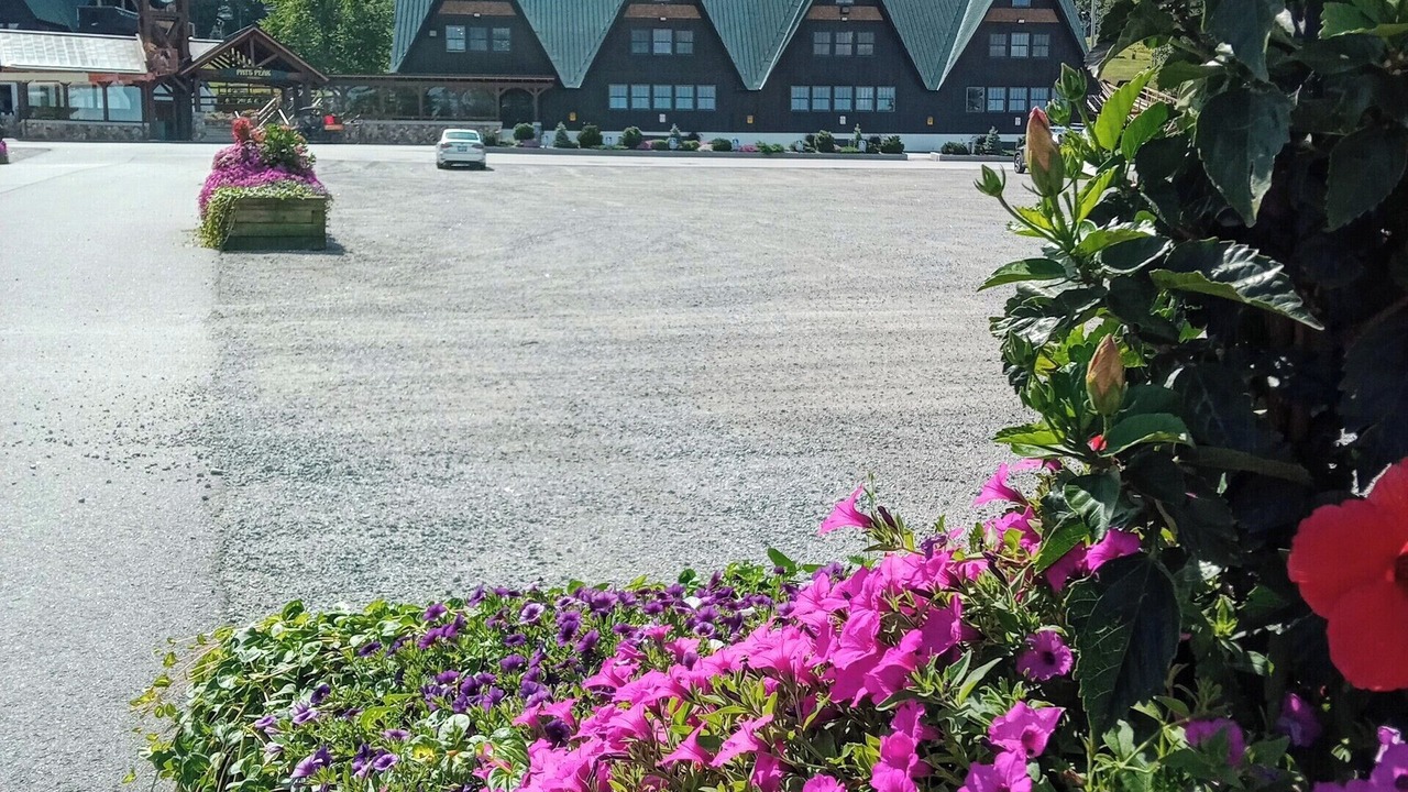 Photo of Outdoor in Weare
