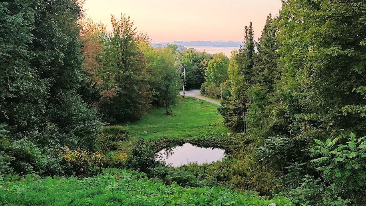 Photo of Outdoor in Newport