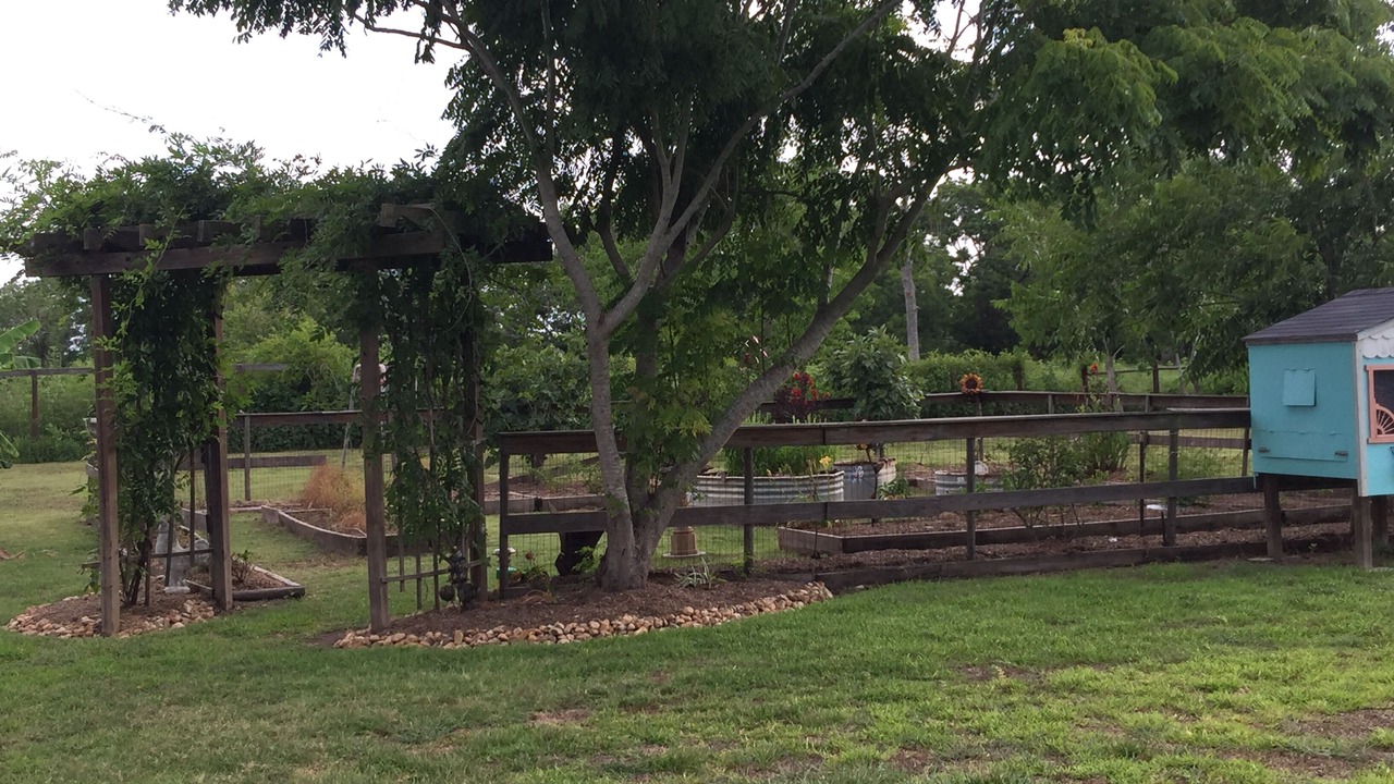 Photo of Outdoor in Brazoria