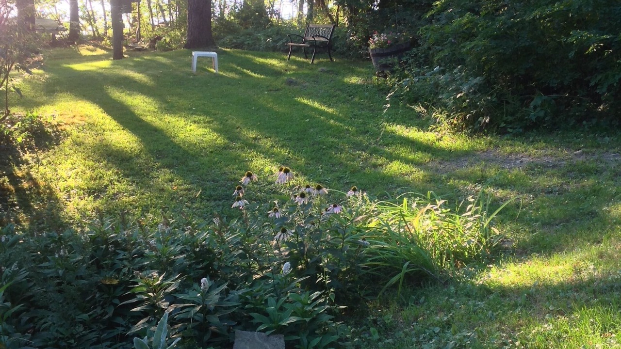 Photo of Outdoor in Honeoye