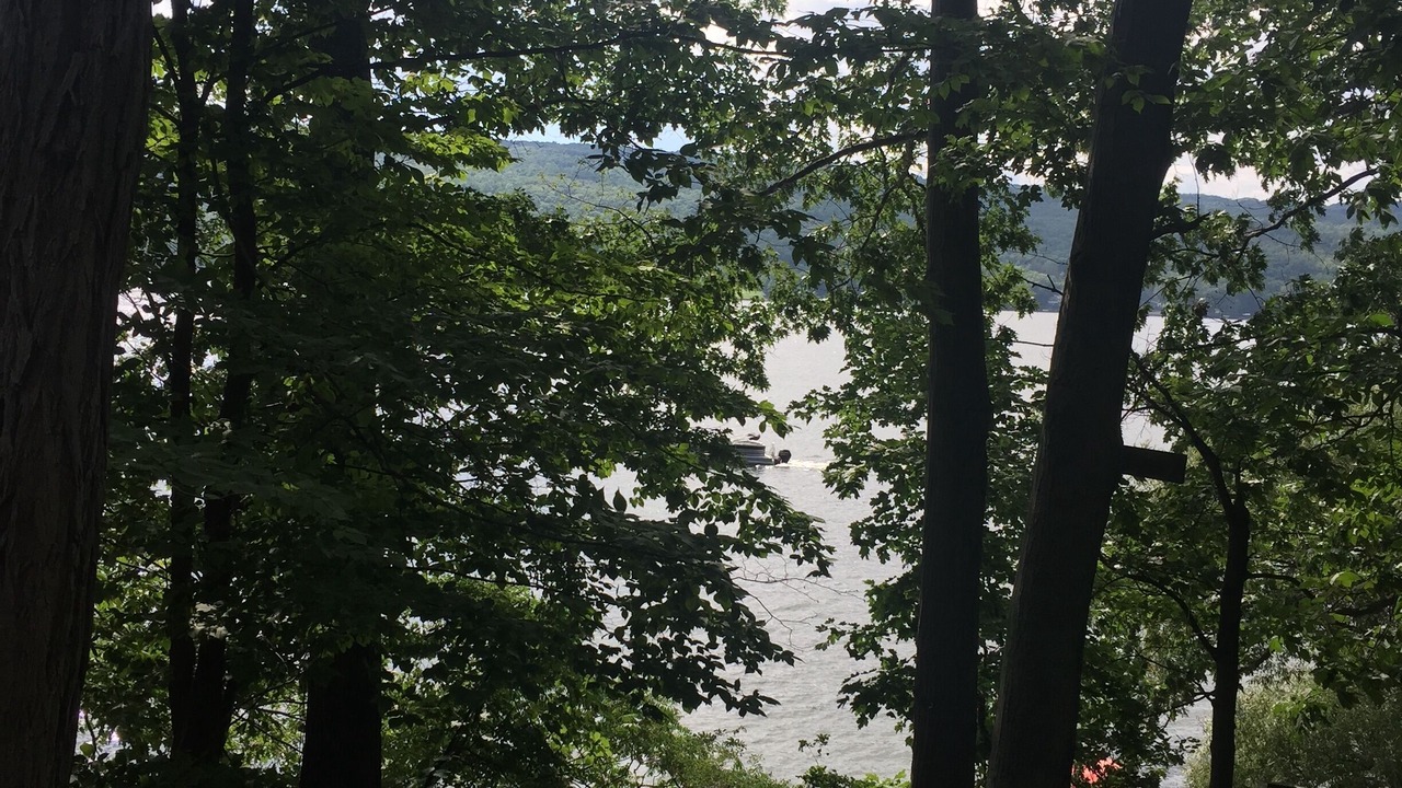 Photo of Others in Honeoye
